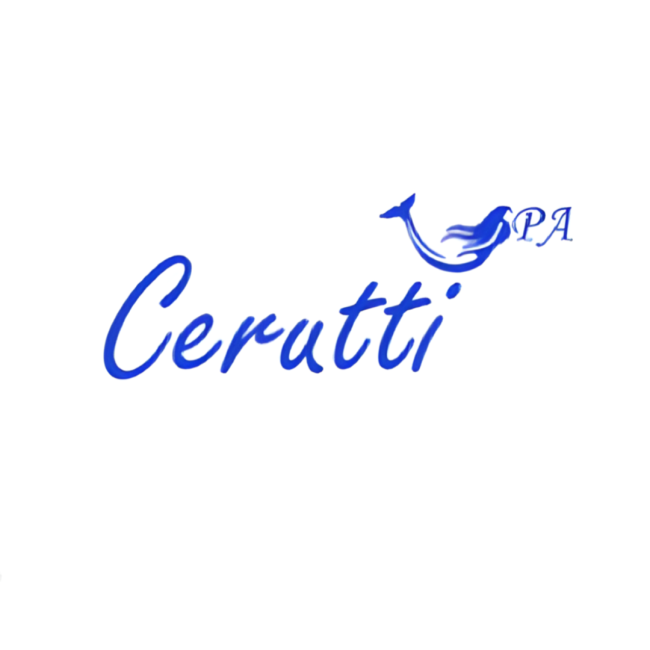Ceruttispa