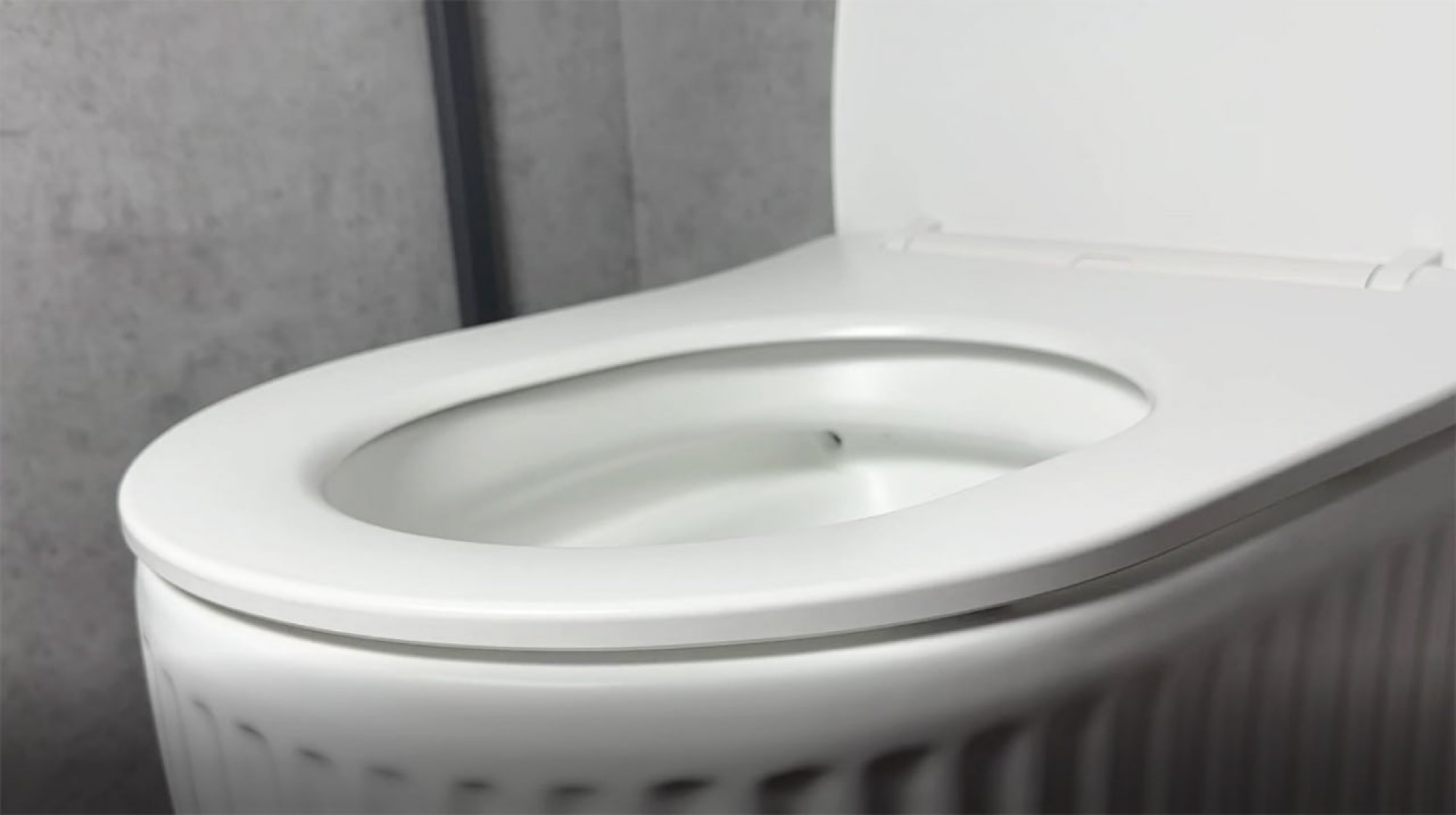 Унитаз подвесной Roxen Royal Matt Rimless Soft Close NC 530200-01 фото-5 Унитаз подвесной Roxen Royal Matt Rimless Soft Close NC 530200-01 фото-5