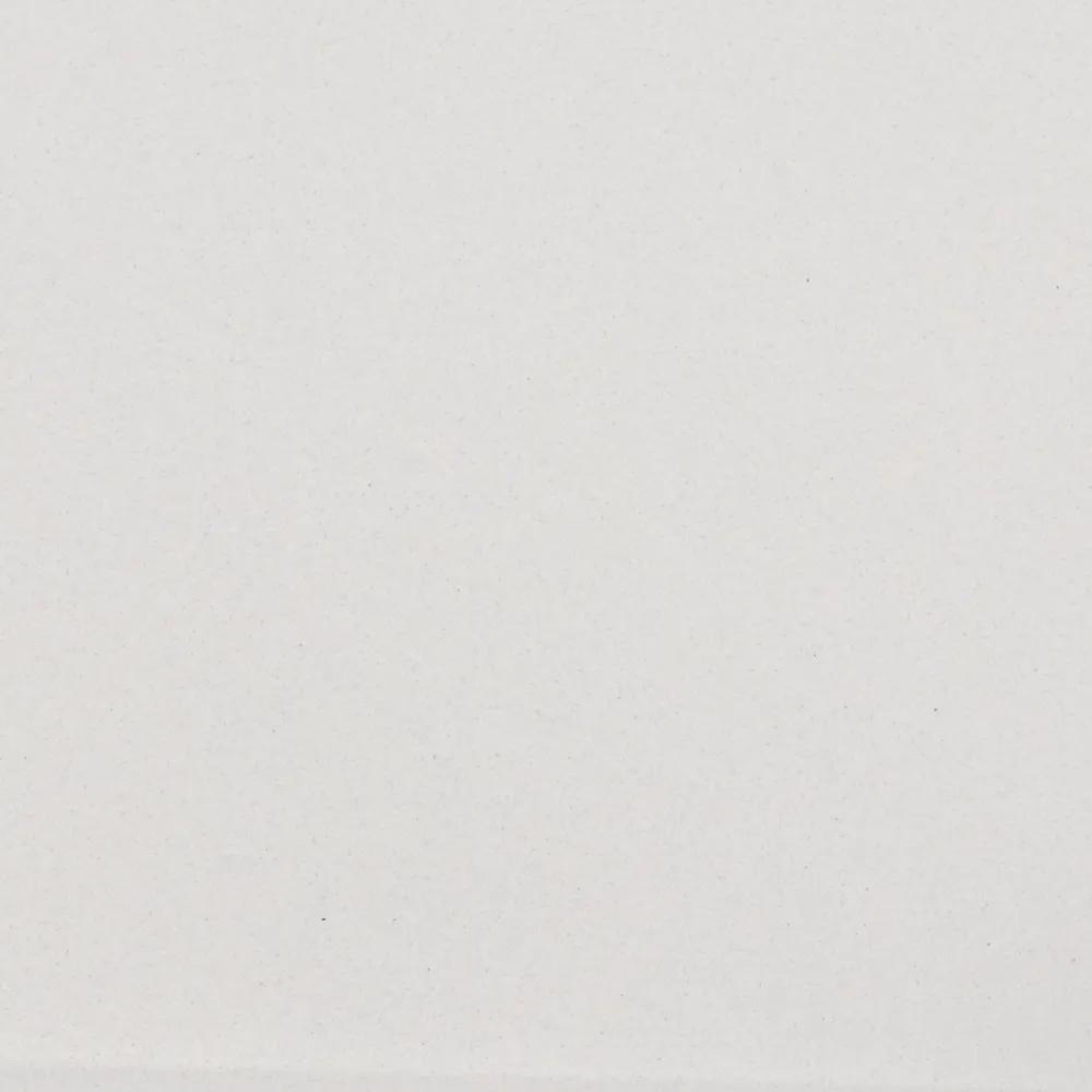 Кухонная мойка ZorG Fast 54 Premium alba фото-3