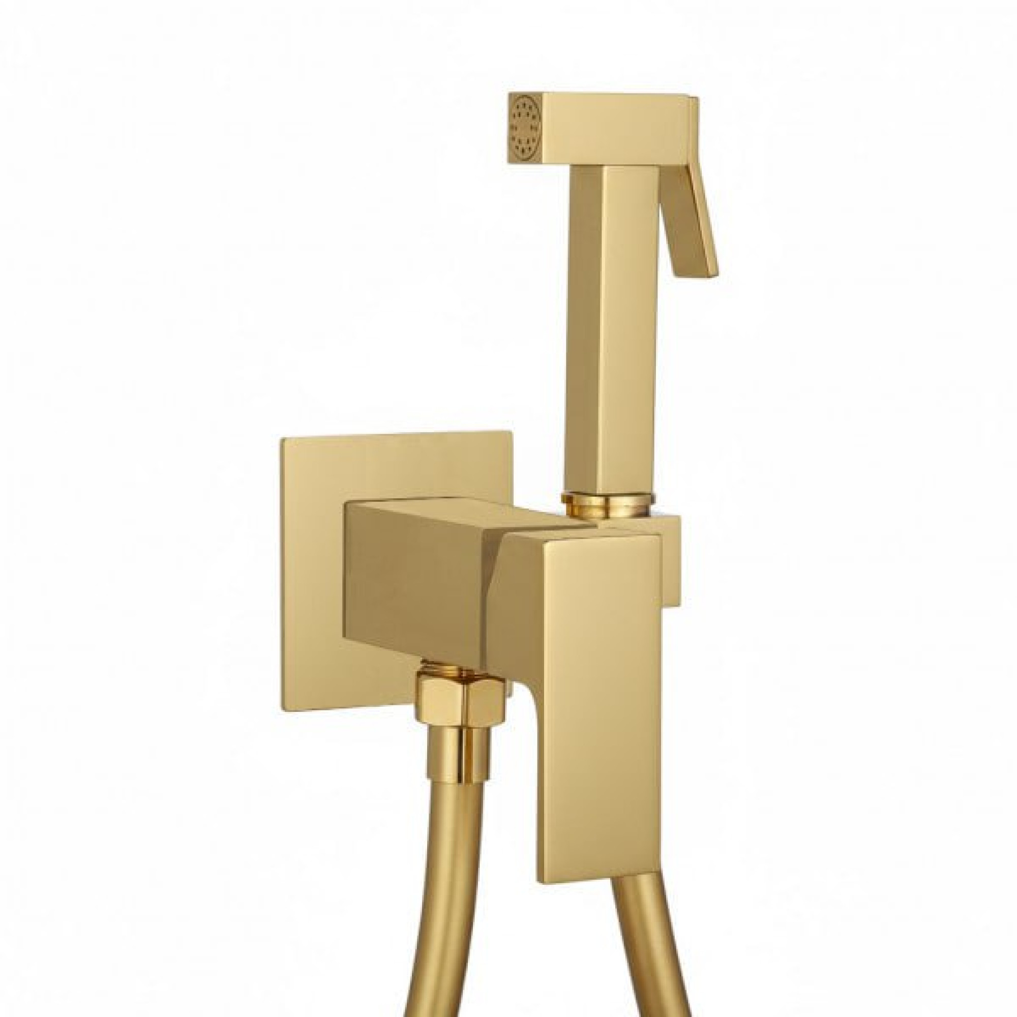 Гигиенический душ Roxen Caspia 50096000-GB - фото1