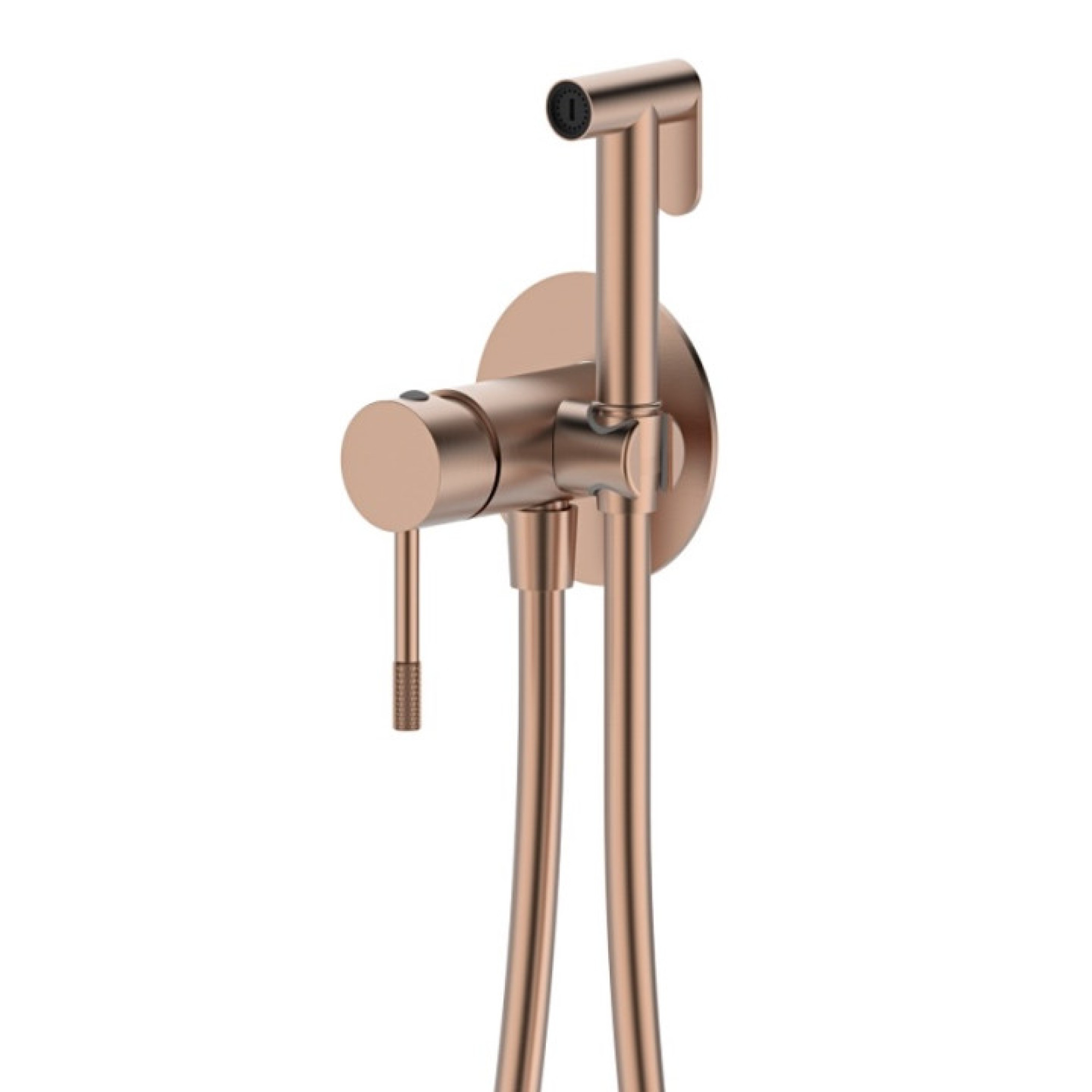 Комплект Vieir R403 Душевая система Vieir 403564-R Смеситель Vieir 402511-R Гигиенический душ 403553-R фото-2