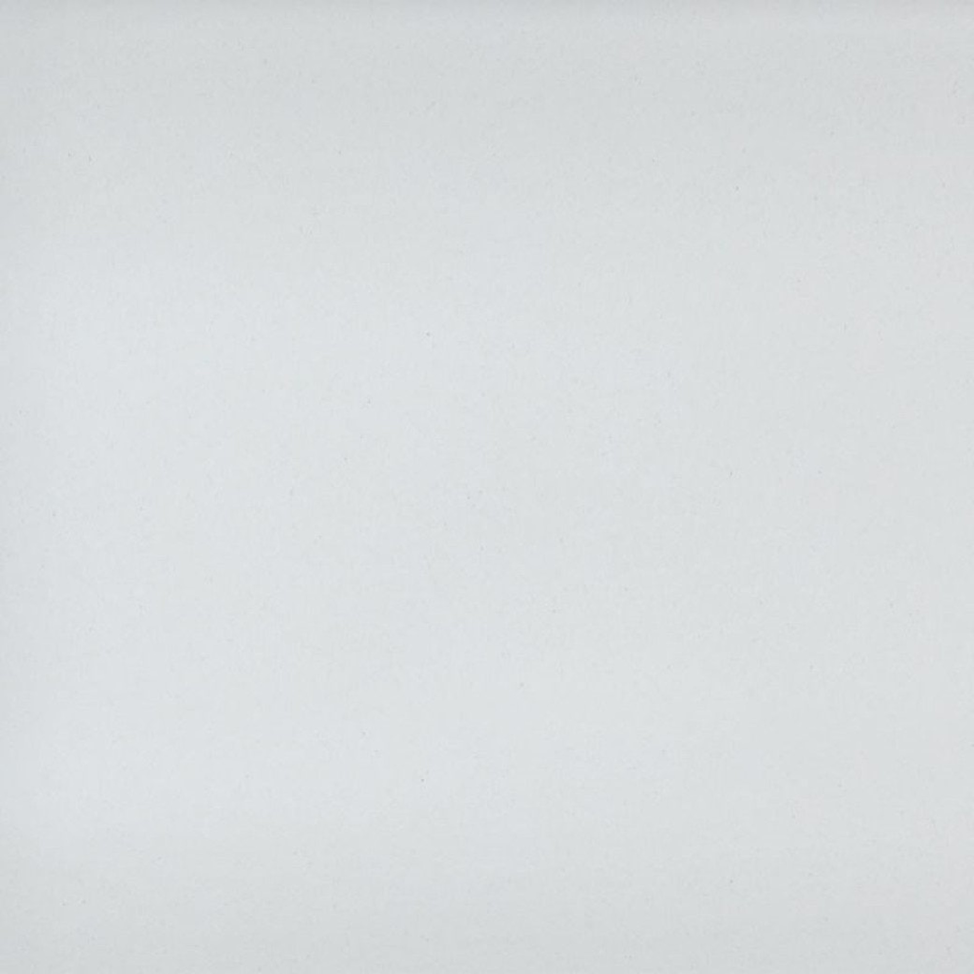 Кухонная мойка Wisent W510-28 (белый) фото-5