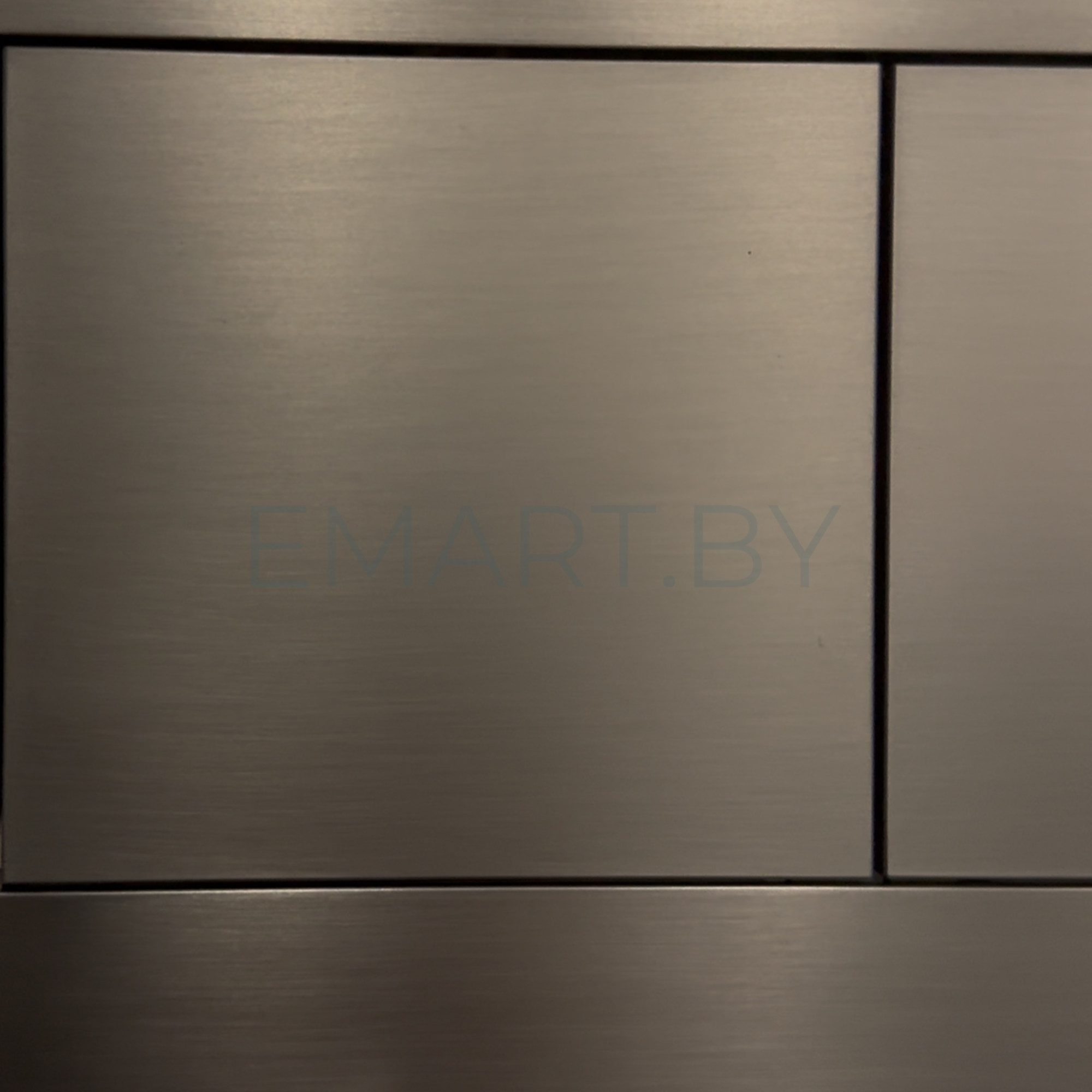 TECEnow Панель смыва унитаза для системы двойного смыва никель металлик 9240418 фото-4