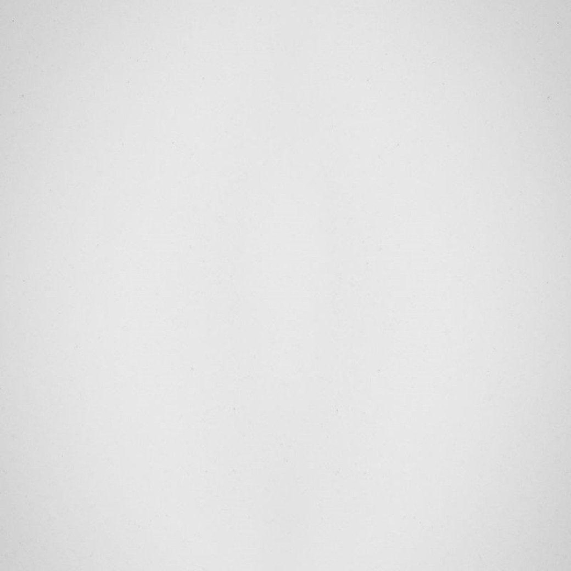 Кухонная мойка Wisent WR620-28 (белый) фото-3