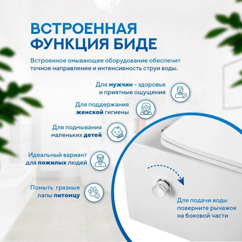 Унитаз подвесной Amore di Mare P310X Garda Bidet (с функцией биде) фото-6 Унитаз подвесной Amore di Mare P310X Garda Bidet (с функцией биде) фото-6