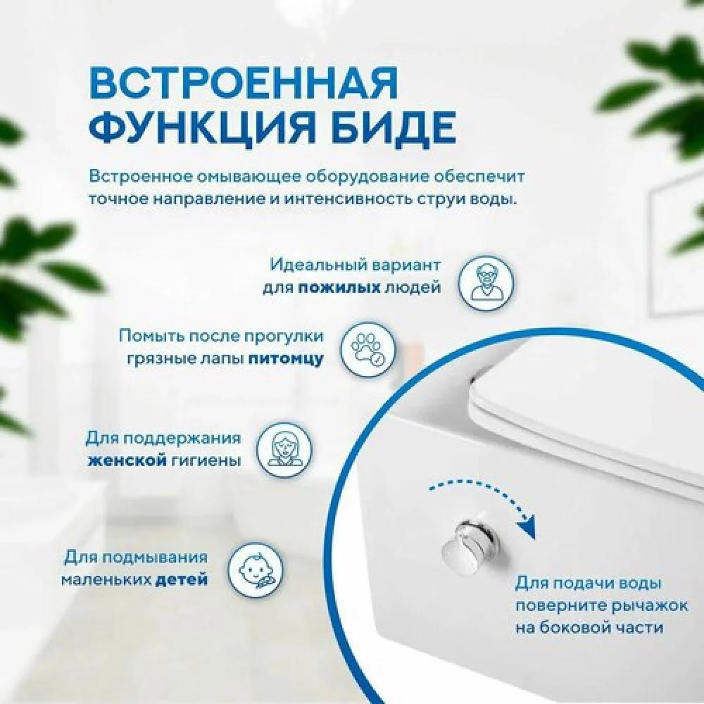 Унитаз подвесной Amore di Mare Temo Bidet P322X + QuickFit 50114 + кнопка 303BN фото-10 Унитаз подвесной Amore di Mare Temo Bidet P322X + QuickFit 50114 + кнопка 303BN фото-10