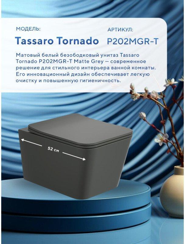 Унитаз подвесной Amore di Mare Tassaro Tornado P202MGR-T (серый матовый) фото-3