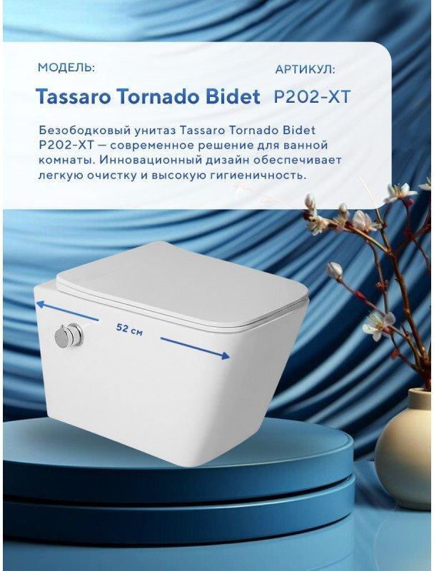 Унитаз подвесной Amore di Mare Tassaro Tornado Bidet P202X-T (белый) фото-3