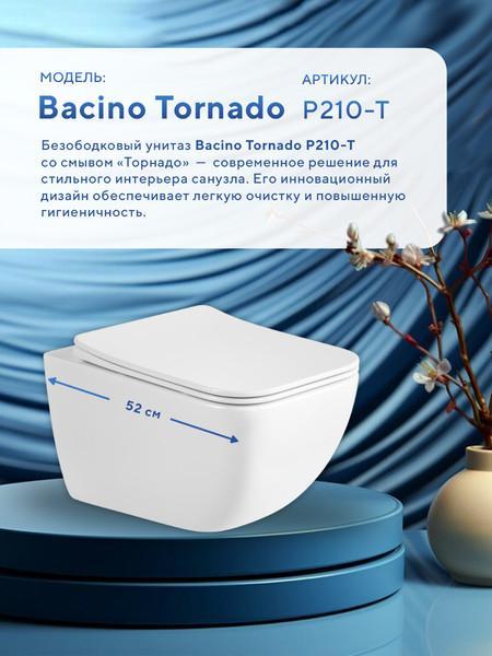 Унитаз подвесной Amore di Mare Bacino Tornado P210-T (белый) фото-2